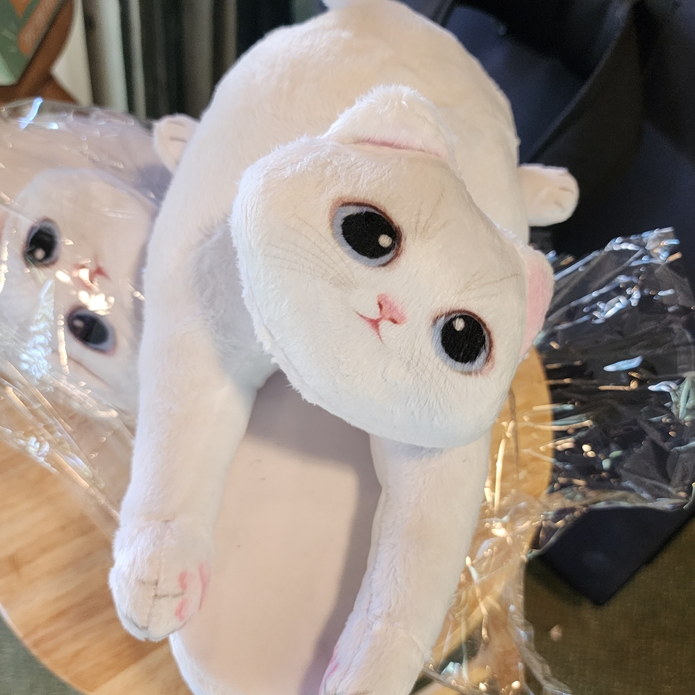 Brand New in Box Cute Memory Foam Cat Slippers - Picture 4 of 6